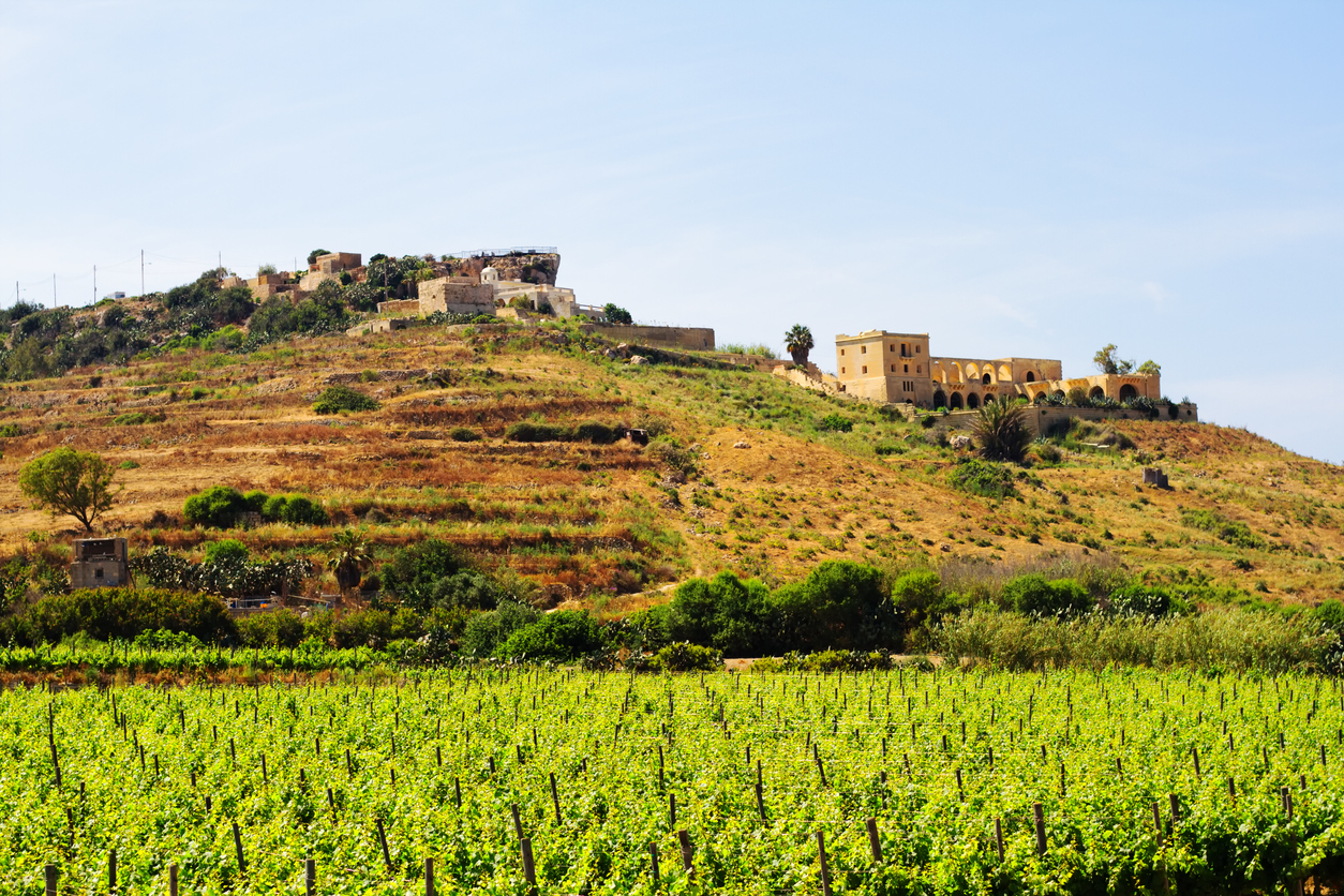 L’histoire du vin de Malte