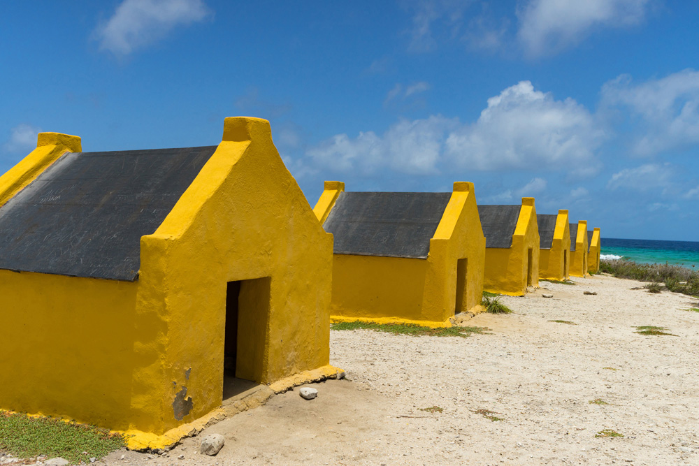 Attraits de Bonaire