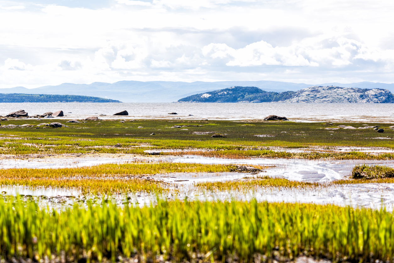 Kamouraska et les aboiteaux