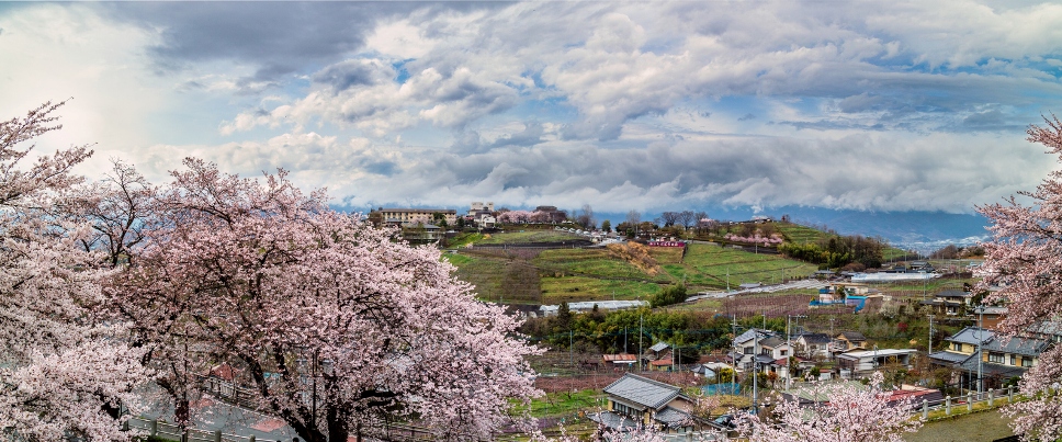 La légende du koshu