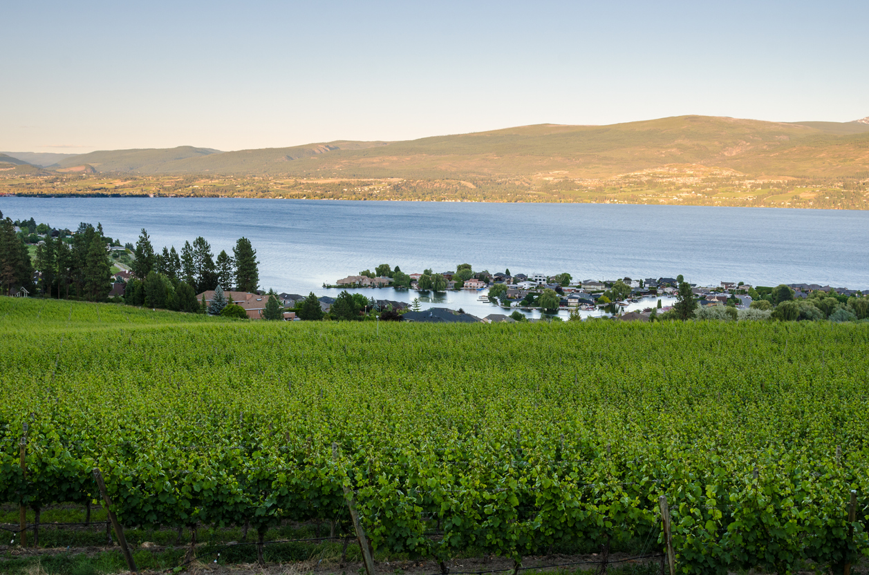 La Route des vins dans la Vallée de l