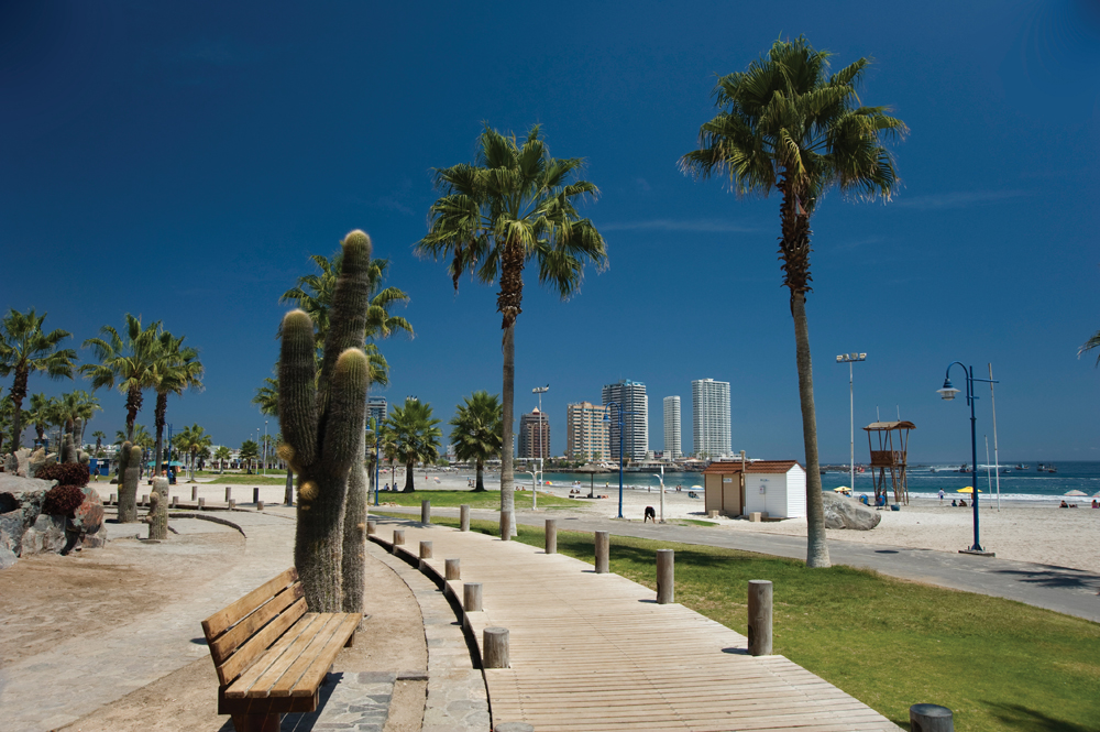 Voler à Iquique