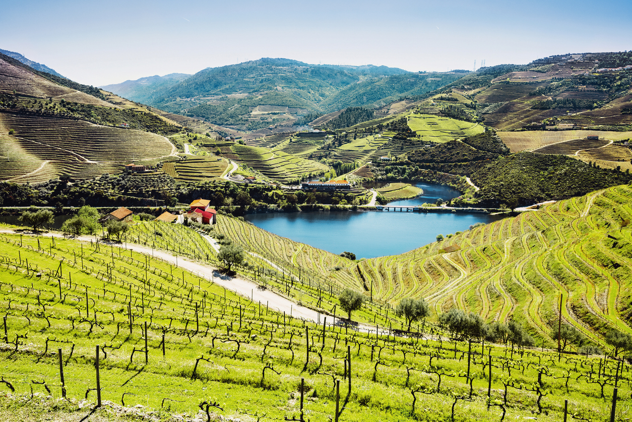 Porto, vinho verde et appellations d’origine contrôlée