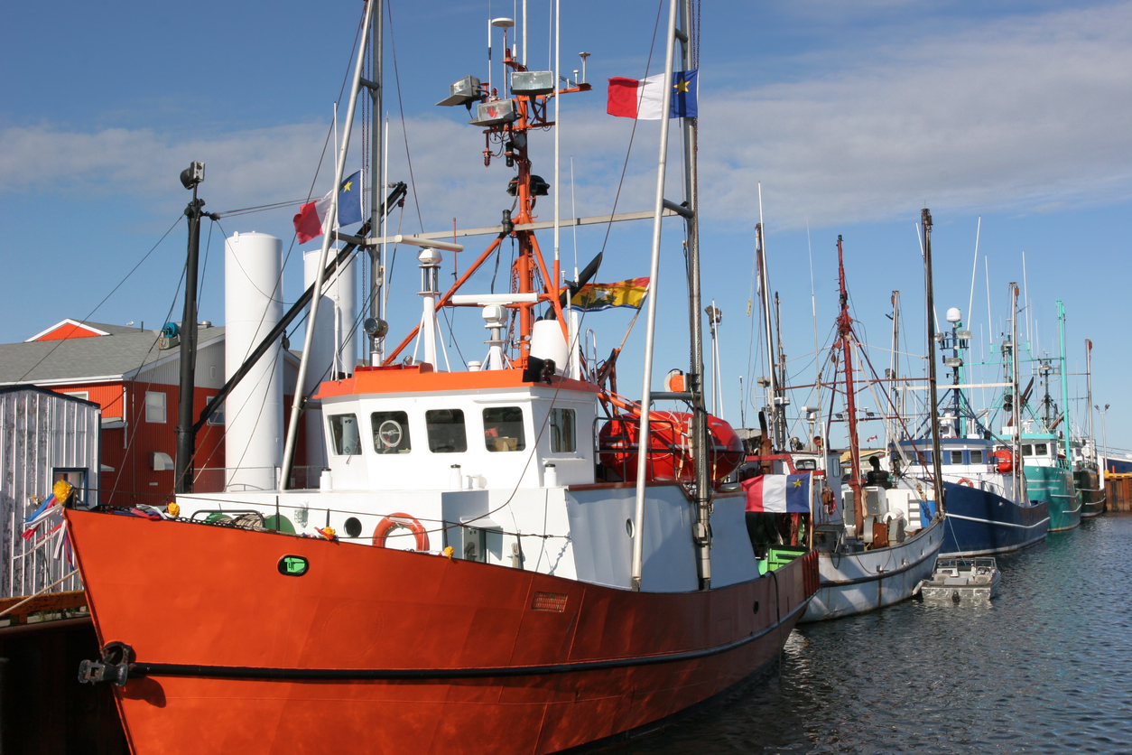 Le français acadien