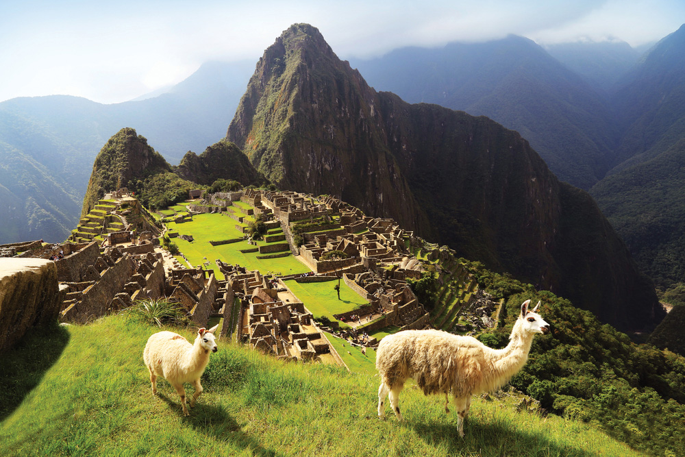 Machu Picchu