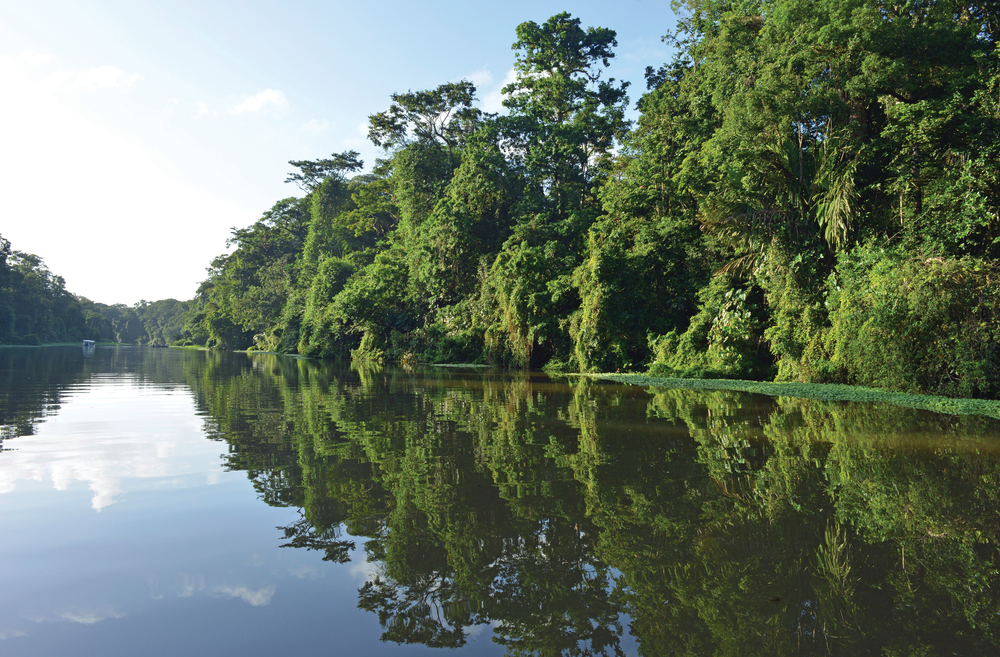 Découvrir les canaux de Tortuguero