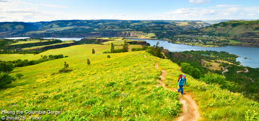 Séjour dans l’État de l’Oregon : 5 incontournables