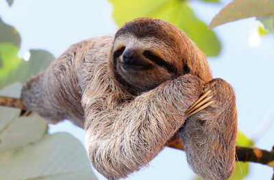 5 activités à vivre en famille au Costa Rica