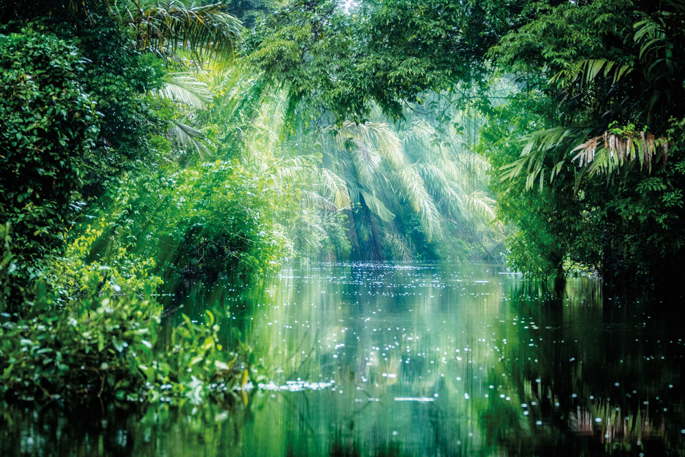 Tortuguero