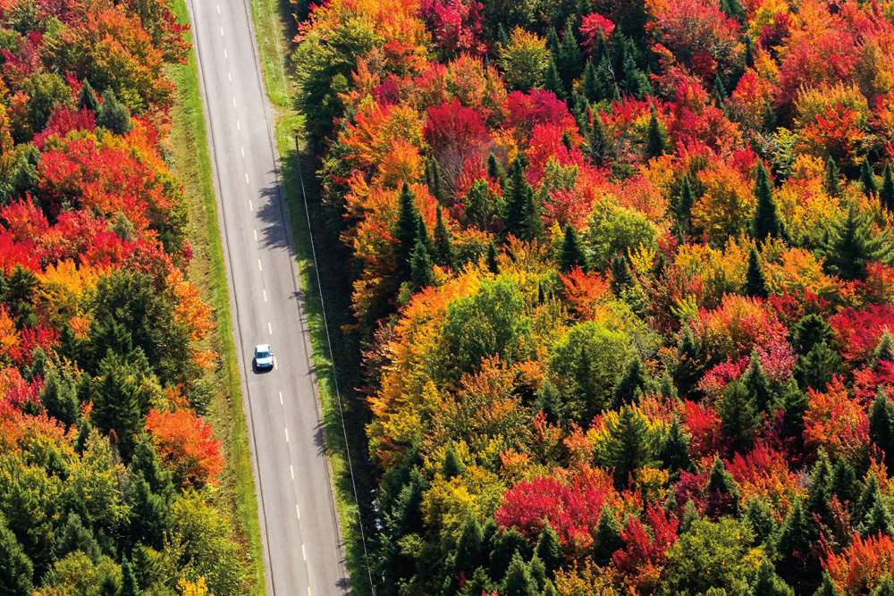 Déplacement au Québec