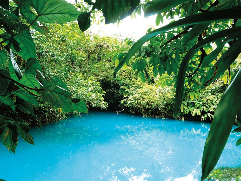 Un bassin dans le Parque Nacional Manuel Antonio. &copy; iStockphoto.com/nicolasboivin