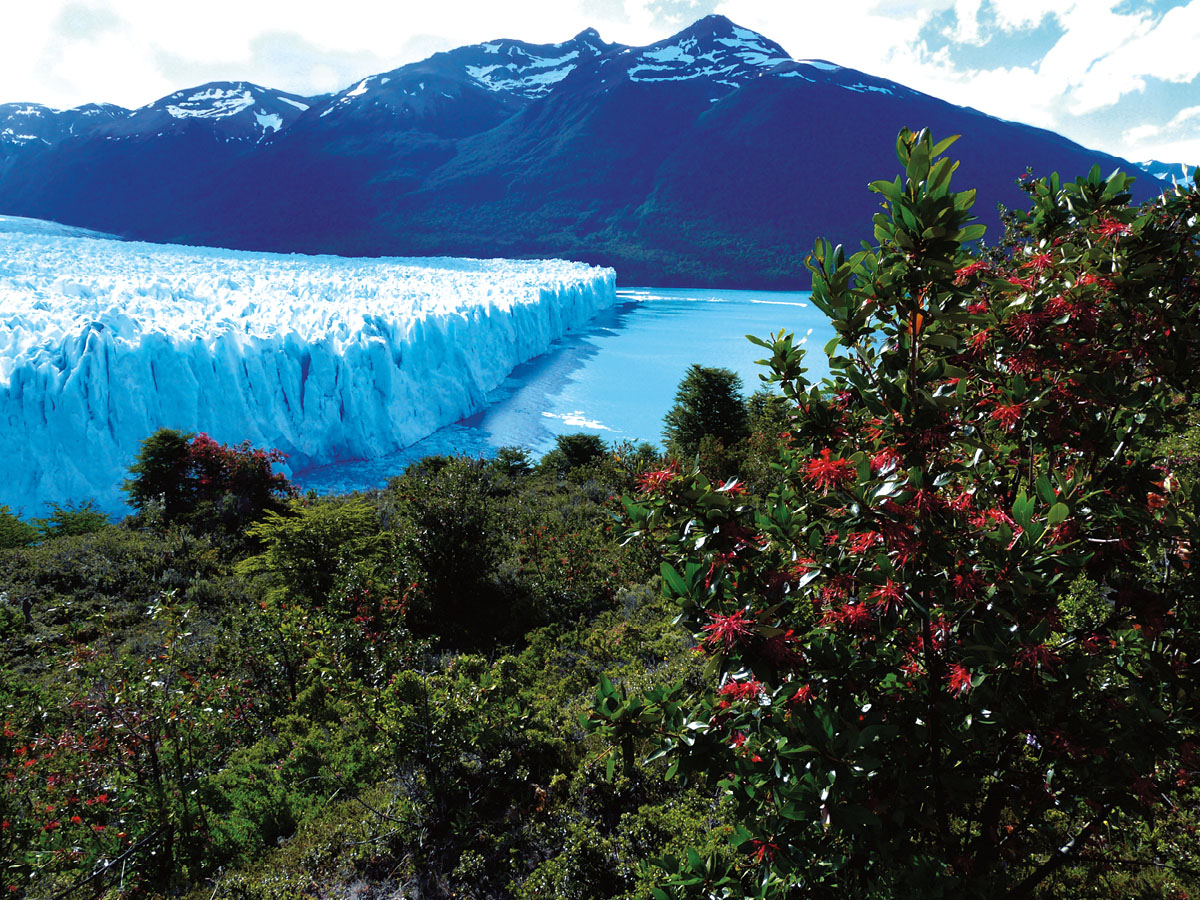 Glacier_Perito_Moreno120.tif