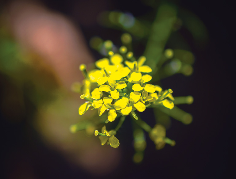 iStock-1076561540.tif