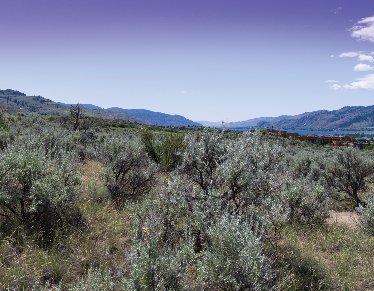 iStock-819974356.tif