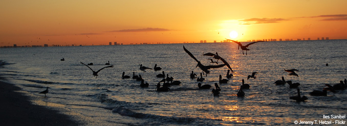 floride