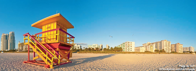 LES INCONTOURNABLES DE MIAMI 