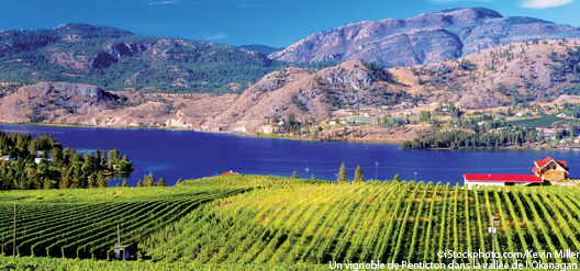 Vir&eacute;e dans les vignobles de la vall&eacute;e de l'Okanagan