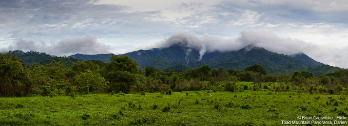 Panam&aacute; : explorez une biodiversit&eacute; exceptionnelle