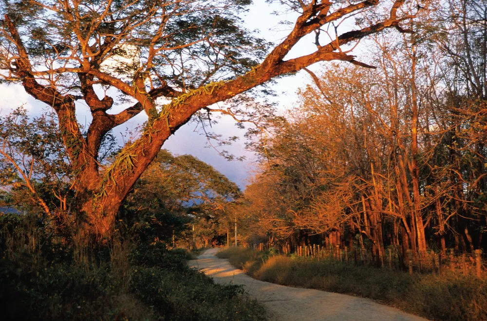 Le Parque Nacional Rincón de la Vieja. | © Claude Hervé-Bazin