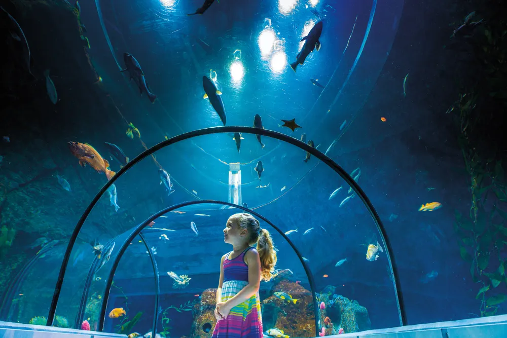 Aquarium du Québec. 
©Aquarium du Québec, Sépaq 