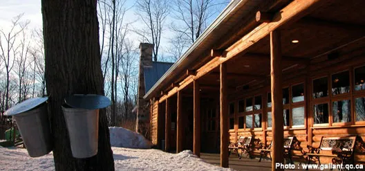 ©www.gallant.qc.ca