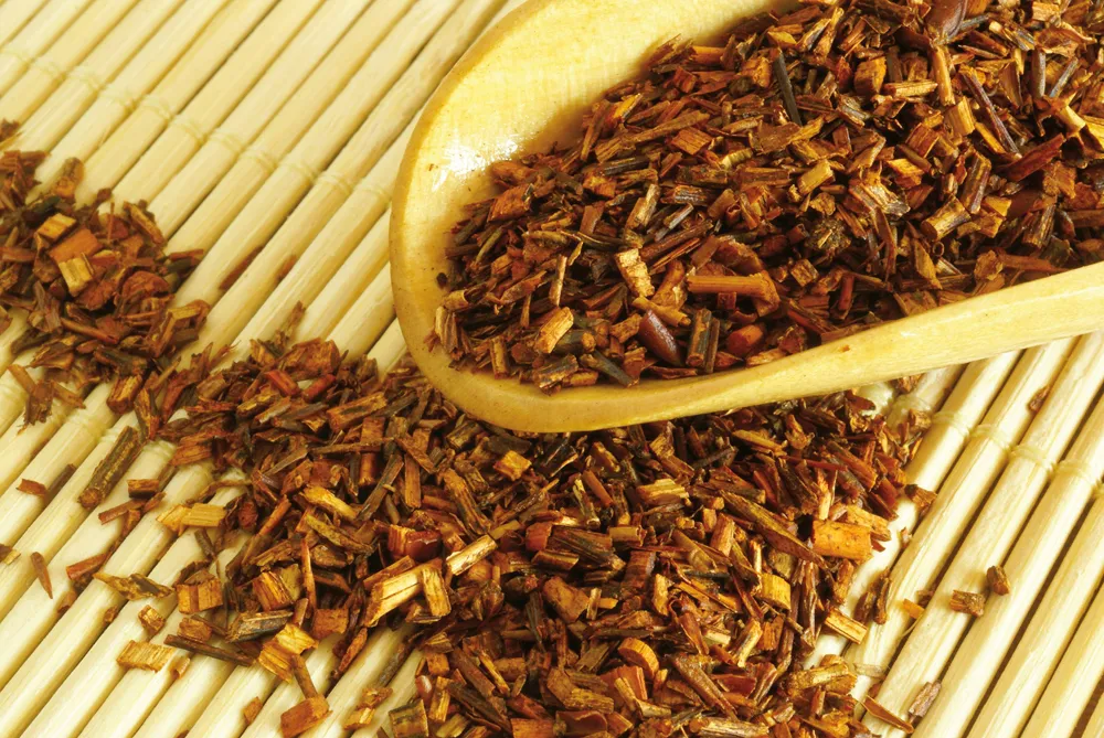 	Thé rouge (rooibos).	©Dreamstime.com/Elzbieta Sekowska