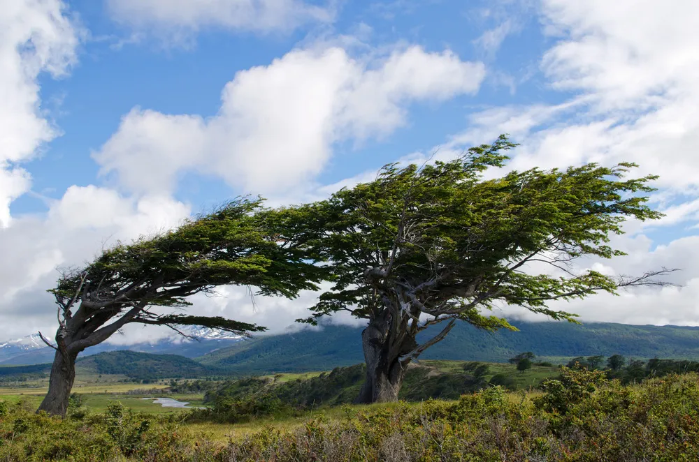 Dans la Province de Tierra del Fuego. | © Dreamstime.com/Ralf Broskvar