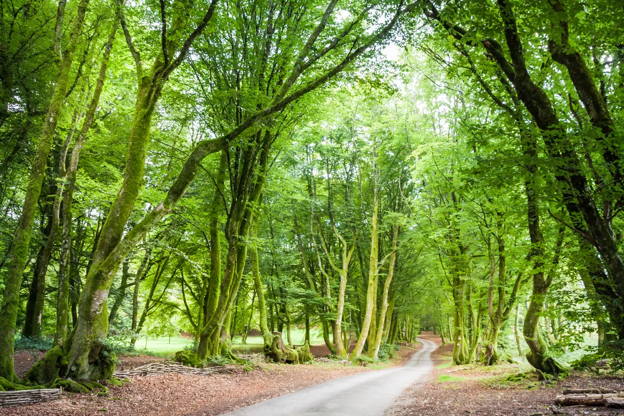 Parc naturel régional du Morvan © iStock / Angelina Cecchetto