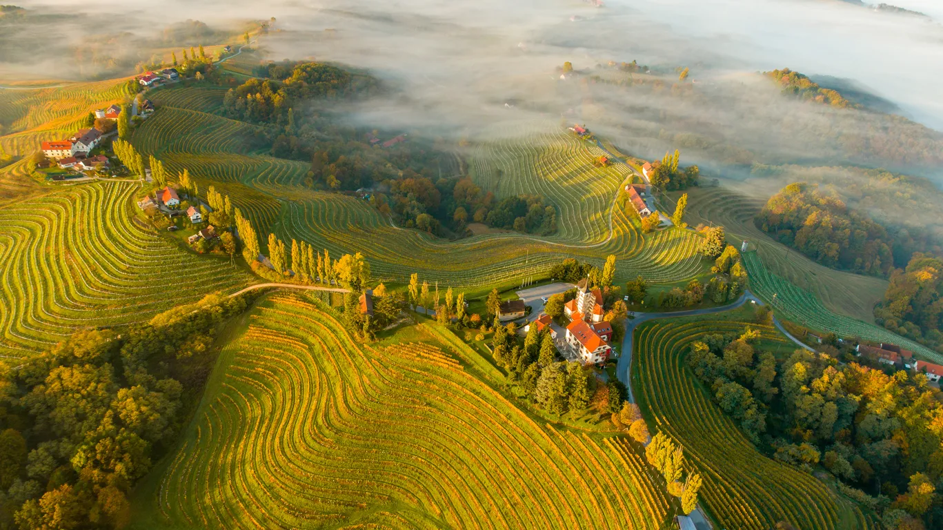 Le petit hameau de Jeruzalem près de Ljutomer en Slovénie © iStock / SimonSkafar