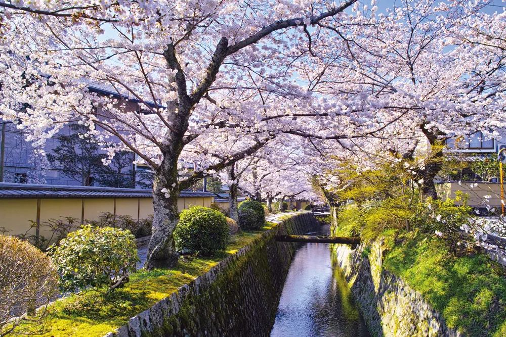 Chemin de la philosophie, Kyôto
© iStockphoto / 7maru