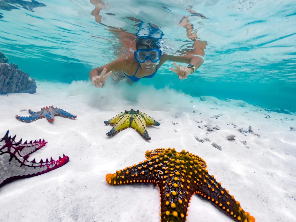 L'île de Zanzibar et son magnifique récif corallien - photo © iStock-CasarsaGuru