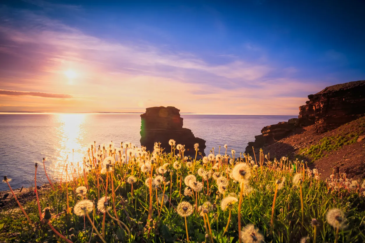 Bell Island à Terre-Neuve © iStock / febriyanta