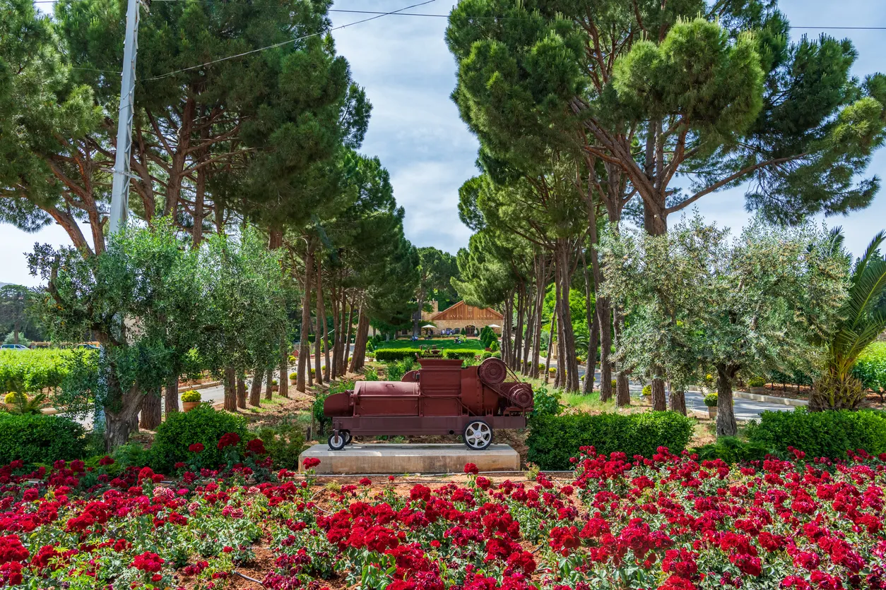 L'entrée du vignoble Château Ksara - photo © iStock-heinstirred 