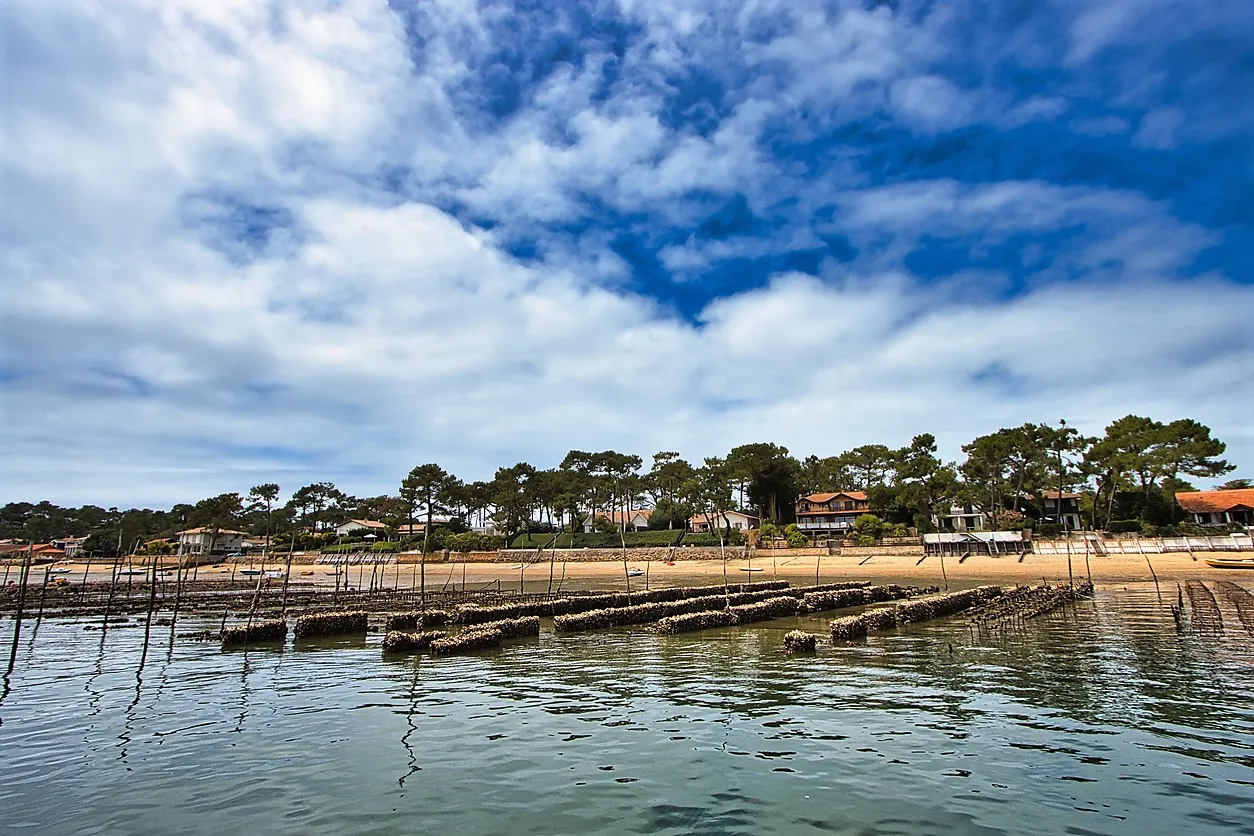 Parc d'engraissement de l'huïtre, La Vigne, Bassin d'Archachon. © iStock / Jerome Delaunay
