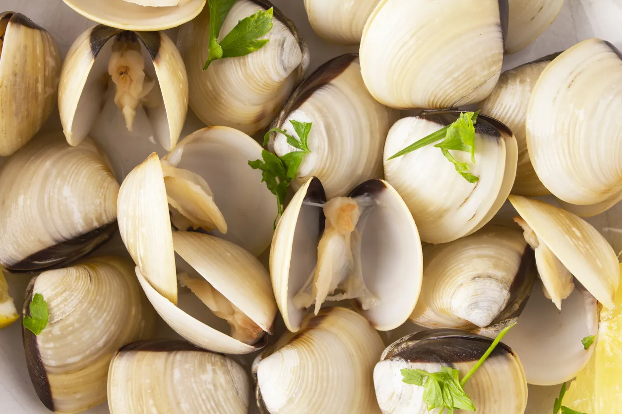 Palourdes en cuisine © iStock / Synergee
