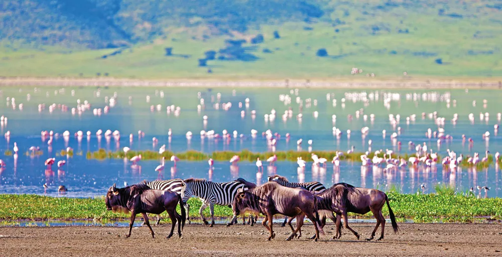 Cratère du Ngorongoro / © iStockphoto.com/Palenque
