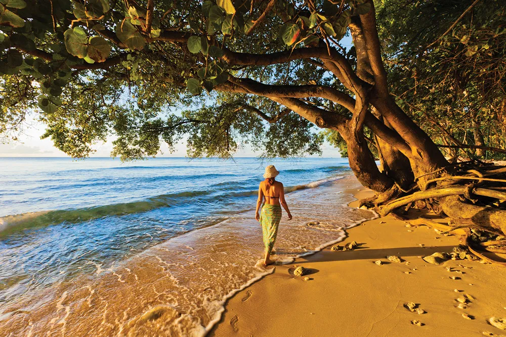 Baie Paynes à la Barbade. | ©iStockphoto.com/Flavio Vallenari