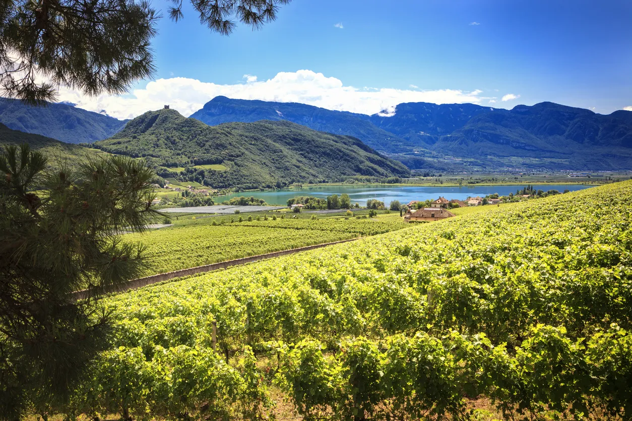Vue panoramique sur le lac Caldaro - Photo © iStock-aprott