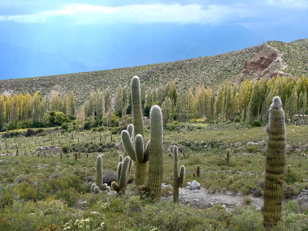 Province de Tucumán, Argentine | © barbaragibbbons