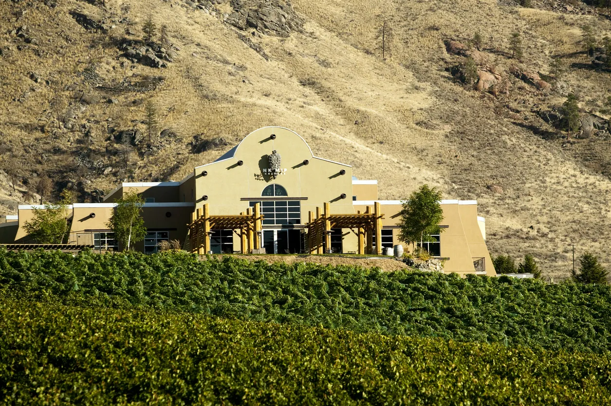 Le vignoble Nk'Mip près du désert d'Osoyoos, géré par des Autochtones  © iStock / laughingmango