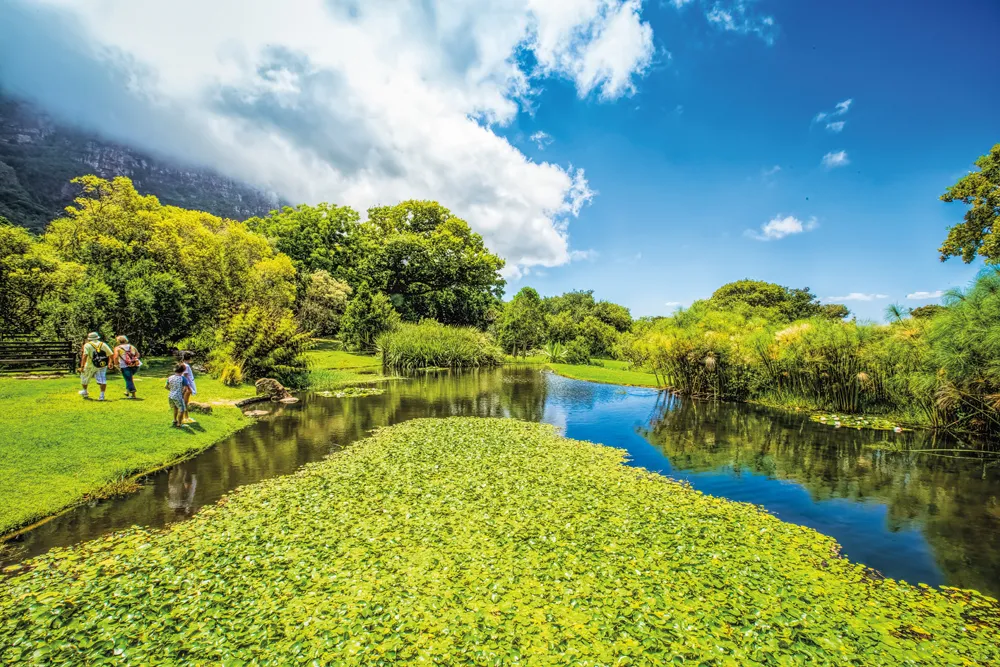 Kirstenbosch National Botanical Garden. | © iStockphoto.com/Diriye