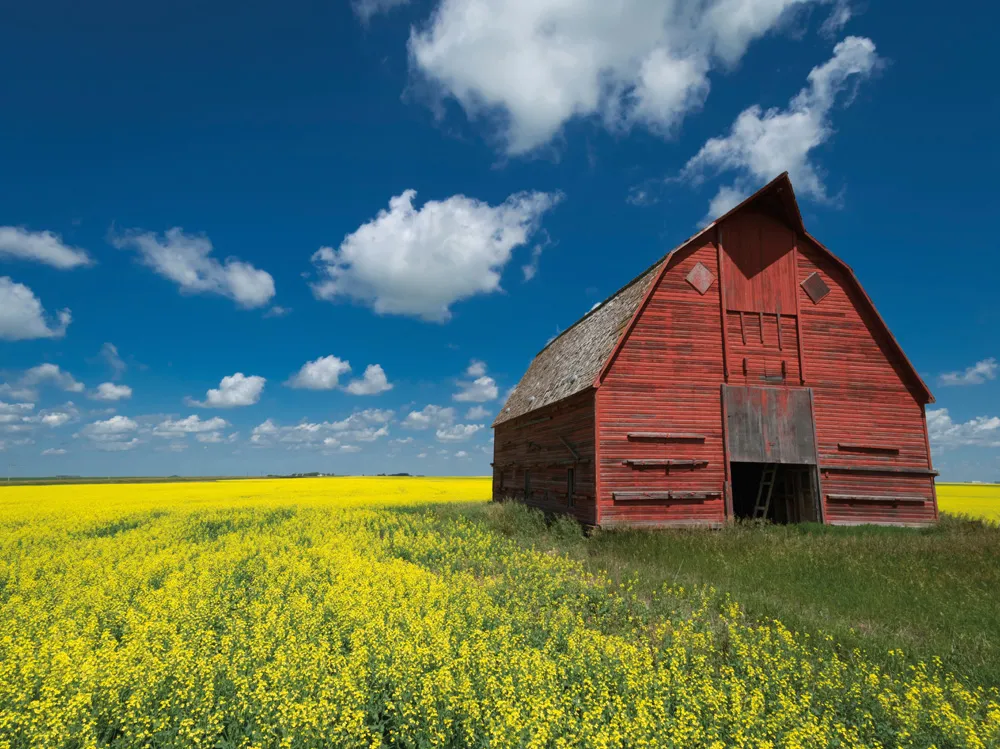 La Saskatchewan. | © iStock / Steamengineer