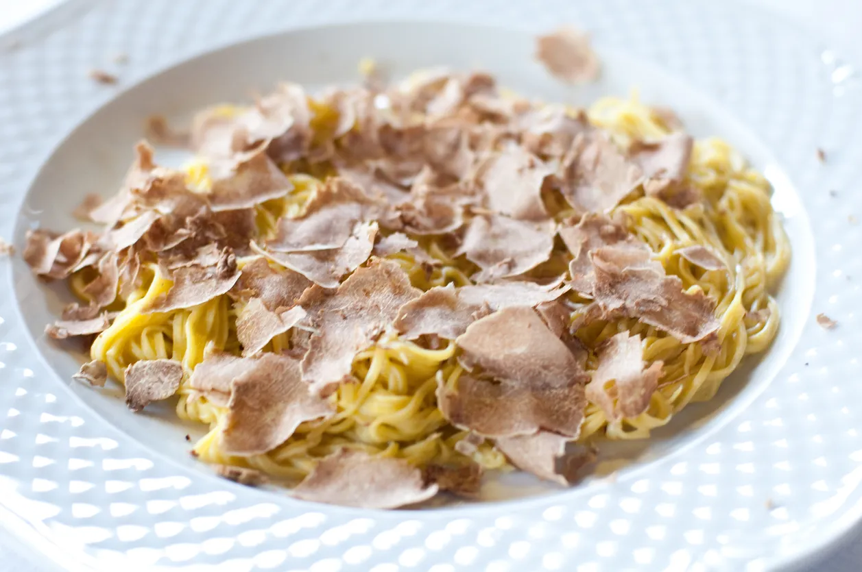 Un plat de tajarin avec de la truffe, deux spécialités des Langhe dans le Piémont © iStock / giovanni1232