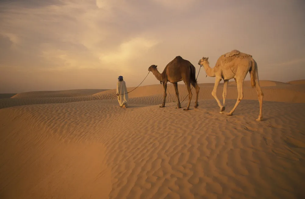 Désert de Douz, Tunisie | © urf