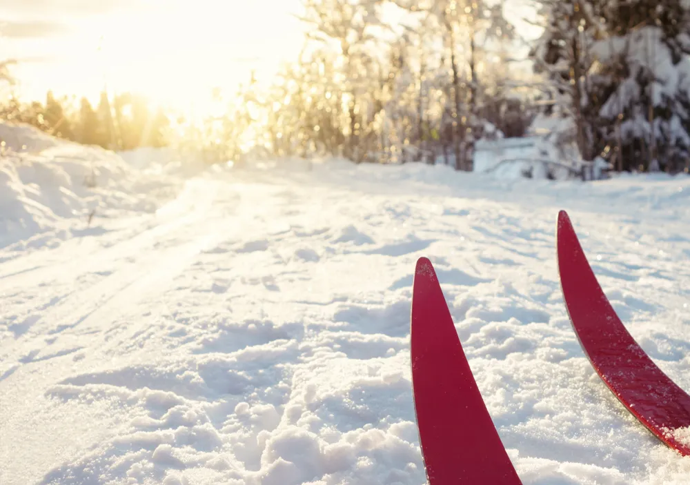 Le ski de fond
© iStockphoto - ROMAOSLO
