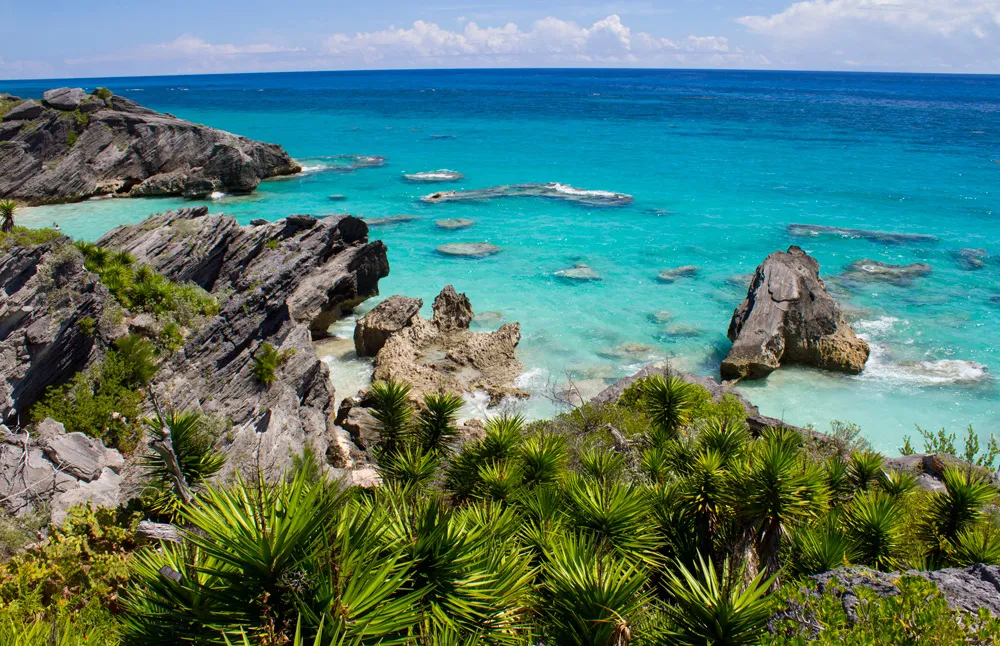 Côte des Bermudes | © Sarah8000