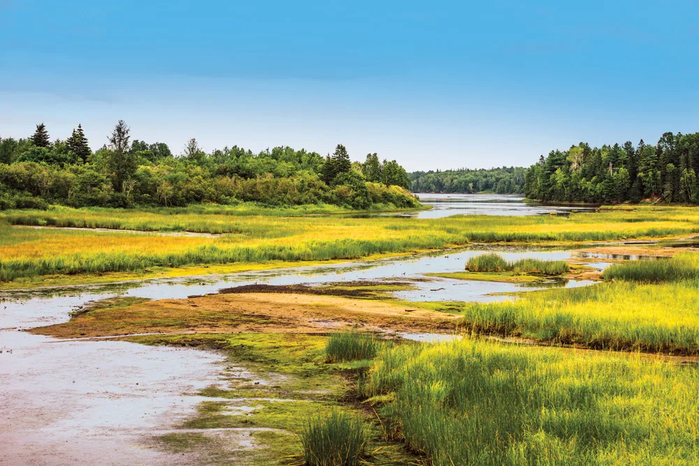 Parc national Kouchibouguac. | © iStockphoto.com/Instants