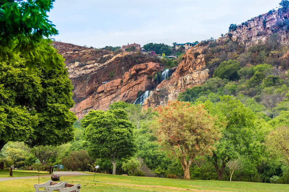 Jardin botanique national Walter Sisulu | © Henrique NDR Martins
