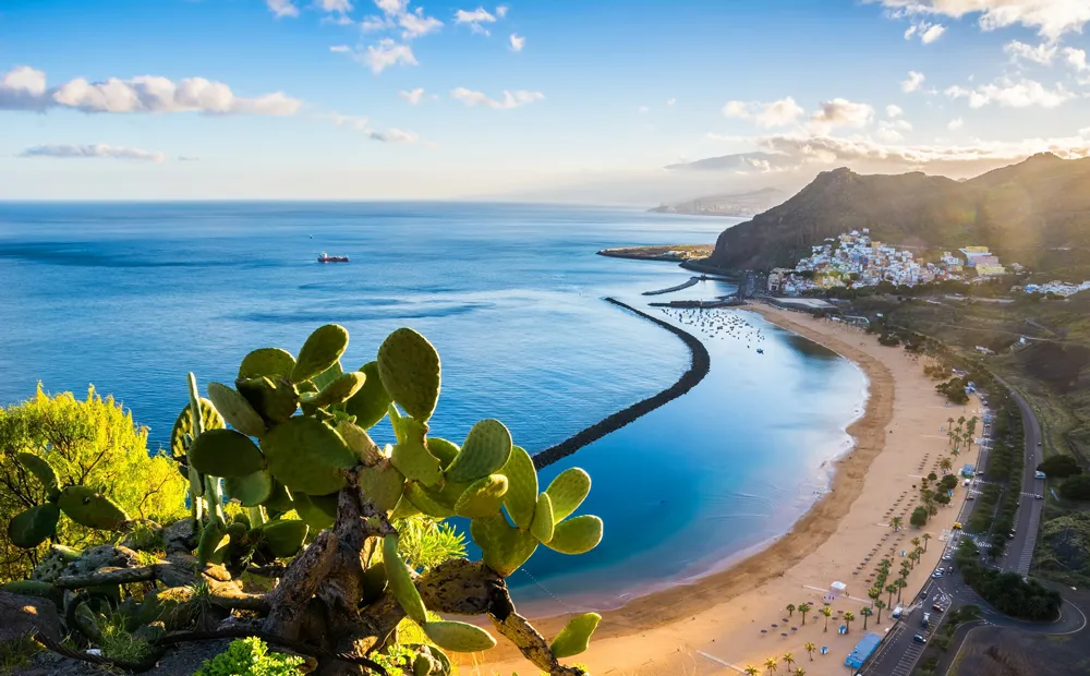 Las Teresitas, Santa Cruz de Tenerife, Canaries  
Photo © iStockphoto - Elena-studio  
