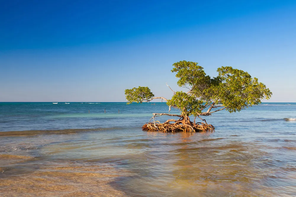 Cayo Jutías, Cuba | © CaptureLight
